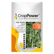 AgroBuddy x CropPower Cucumber Seed DC272 DC171 DC777 DC989 OC575 | Biji Benih Timun 青瓜种子