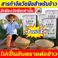 🌾ไม่ทำร้ายข้าว100%🌾ซื้อ1แถม3 ยาคุมหญ้าข้าว ระยะเวลานาน ยาฆ่าหญ้าในนาข้าว เห็นผลรวดเร็ว สารกำจัดวัชพืชในนาข้าว 50ปีไม่มีวัชพืชขึ้นหลังใช้ คุมเลนนาข้าว ประหยัดข้าวจากวัชพืช ยากำจัดวัชพืชในนาข้าว ไม่ทำร้ายข้าว แต่ฆ่าวัชพืช สารกำจัดวัชพืช วัชพืชไม่มีอีก