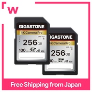 Gigastone SD Cards 256GB Set of 2 Memory Cards A1 V30 U3 Class 10 SDXC High Speed 4K UHD &amp; Full HD Video Compatible with Canon Nikon and other digital cameras SLR with 2 mini cases
