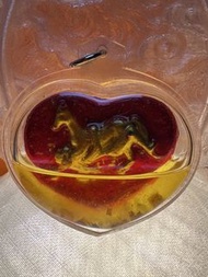 阿贊put～馬食能👍🏻