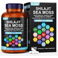 25-in-1 Sea Moss Black Seed Oil  Ginger Shilajit Supplement, with Burdock Root, Rhodiola Rosea, Vita