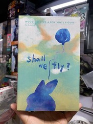 B wing Bwing shall we fly A boy how2work