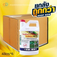 (ยกลังx6 แกลลอน) ไกล โฟเซต48 ตรากระรอกแดง ขนาด 4 ลิตร สารกำจัดวัชพืช กำจัดวัชพืชใบแคบ วัชพืชใบกว้างเ