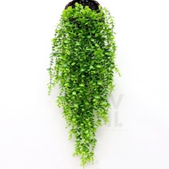 95CM Hanging Dollar Leaves 5 Branches Plastic Dollar Leaves Hanging Flowers Decorative Vine Leaves