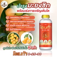 ปุ๋ยน้ำสูตรพรีเมียมสำหรับมะเขือ โอเมก้า 0-25-30 เปิดตาดอก ผลสวย บำรุงดอก บำรุงผล น้ำหนักดี ผลสวย ขนา