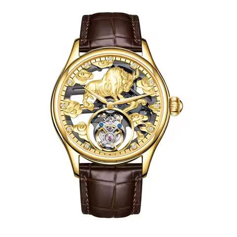 AESOP Real Tourbillon Skeleton Mechanical Hand Wind Movement Wrist Watch for Men Top Brand Luxury Cl