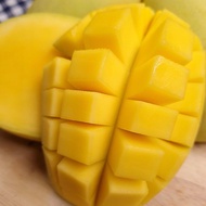 Fresh Fruits - Mangga / Mango Susu 1.5kg