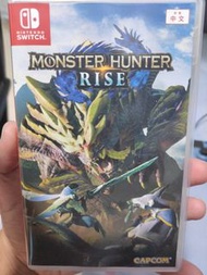 Monster Hunter rise switch