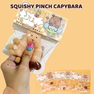 Taiyo Children's Toys Squishy Taba Pinch Capybara Squeeze Soft Cute Animals