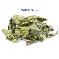 Combo Mulberry Leaves Guava Leaves Almond Leaves - Side Food for Ornamental Shrimp, Nutritional Supp
