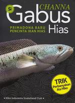 Channa Si Gabus Hias