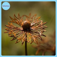 ha Rustic Bluebonnet Metal Stake Decorative Garden Art Rust Finish Iron Lawn Ornament Outdoor Decora