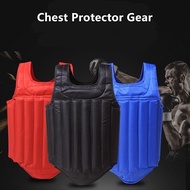 Taekwondo Karate Silat Body Protector Vest Sparring Reversible Sport Training