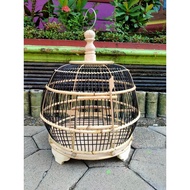 Black-Bared Minion Turtle Dove Cage