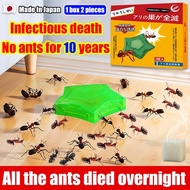 【No ants for 10 years】 Ant killer bait Natural Attractive Ant Bait killer Safe & Easy To Use Elimina