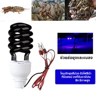 【COD】ไฟเหยื่อแมลง 12V หลอดดักแมลง แสงสีดํา แสงสีม่วง แสงเหยื่อ แสงสีดํา 60W ไฟประหยัดพลังงานสีม่วง ป