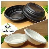 Azalea Bonsai Pot, Thick, Quality, no. 25 - Diameter 24 cm