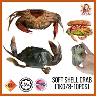 Soft Shell Crab/Ketam Lembut (80gm-120gm)  6-8nos (0.95-1.05kg/set)