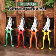 Multifunctional Pruning Shears Fruit Tree Pruning Pruning Shears Anti-Slip Handle Gardening Shears F
