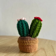 🌵Crochet dual cactus flower pot gift