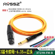 Shanghai Huaminhua Brand Microphone Cable Soft YS136N-BG Canon Audio Cable Big Two-Core Straight Plu