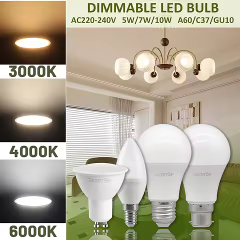 5pcs E27 B22 E14 GU10 LED Bulb Dimmable 3000K/4000K/6000K Warm White/Daylight White Indoor Flood Lig