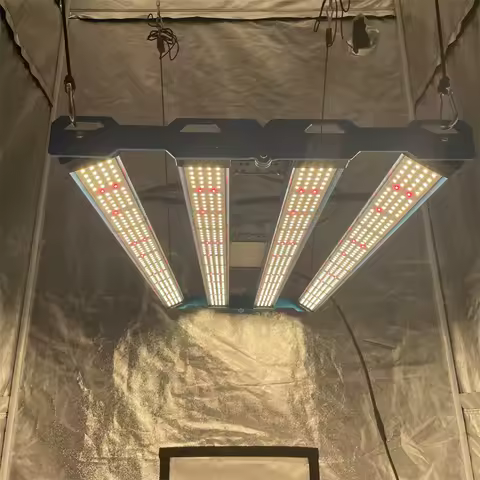 2026 King Brite LED P55 320W LM301H EVO 320W Led Grow Lights for 3X3 ft / 2X4 ft