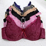 Women Bra [CAMELIA] Under-Wired Thin Span Lace Bra B/C Cup 36-44 / Baju Dalam Wanita Nipis Span LAce