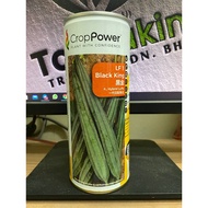 Benih Petola Segi/Luffa Black King LF1 Hibrid F1 (100gm)