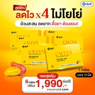 Yanhee Callyn Plus เซ็ต 6 กล่อง ทานได้ 2 เดือน ยันฮี คอลิน พลัส ผลิตภัณฑ์จากยันฮี