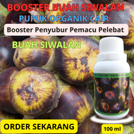 Pupuk Buah Siwalan Pupuk Organik Cair Khusus Buah Siwalan Pupuk Pelebat Buah Siwalan Pupuk Buah Cair