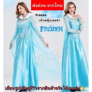 Princess Elsa Dress Adult Costume