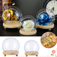 PEONIES Glass cloche Fairy Lights Plants Spherical Terrarium Jar Transparent Bottle Flower Storage box