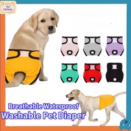 Washable Dog Diaper Pet Physiological Pants Pet Pants Dog Physiological Pants Dog Pants Dog Pampers 