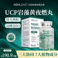 Leaf French Green Magic Pill 4500kj Supermodel Blue Body 60 Capsules Blocking Slimming Small Green B