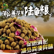 Rep-Shop陆龟蒲公英花草粮苏卡达赫曼红腿辐射豹龟高纤维饲料1.-Shop Tortoise Dandelion Flower Grass Food Sulcata Hermann Red Leg