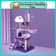 Luxury Cat Climbing Tree Tall Multifunctional Scratching Cat Condo Clouds Cat Tree House
