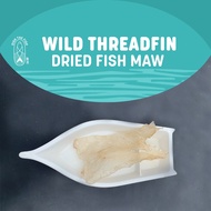 Threadfin Dried Fish Maw (魚鰾 / 花膠)