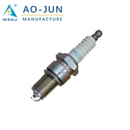 BPR6ES 7131 Spark Plug Suitable for Honda Engines and Other Small Engines Different Models