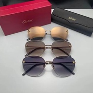 Cartier CT0301S 眼鏡 eyewear glasses
