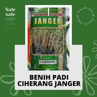 BENIH PADI UNGGUL CIHERANG JANGER