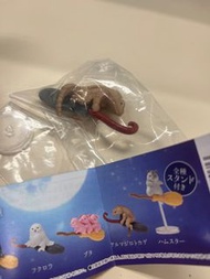 日本扭蛋蜥蜴掃把
