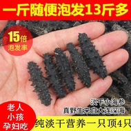 Dried Sea Cucumber, Sea Cucumber, Sea Cucumber, Sea Cucumber淡干小海参刺参辽参纯淡干海参干货批发非即食海参野生海参进口9.12