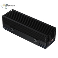 SSD Radiator M.2 2280 SSD Radiator for M.2 NVMe 2280 SSD 2 Heat Pipes M.2 SSD Radiator Black
