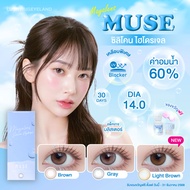 Premium Lens รุ่น Muse Brown/Gray/Light Brown ซิลิโคนไฮโดรเจล 💙 คอนแทคเลนส์ ค่าอมน้ำ60 เลนส์นิ่ม กรอ