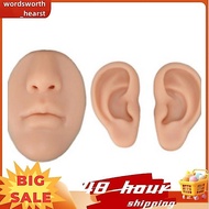 Silicone Human Body Models 3D Silicone Nose Model 3D Silicone Ear Model Perforation Training Model