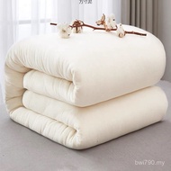 Lint Mattress Thickened Quilt Spring Autumn Quilt Wholesale Student Double Quilt Winter Cotton Quilt