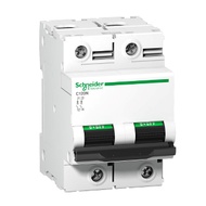 MCB 2P 125A dòng C120N Acti 9 - Áp Tô Mát / Át Cài Schneider Electric - A9N18363