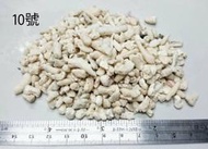 ❤珊瑚骨 ❤ 20公斤 珊瑚砂  過濾 培菌 砂 細砂 石頭 石頭 底沙 底砂 砂子 天然珊瑚砂 圓圓水族