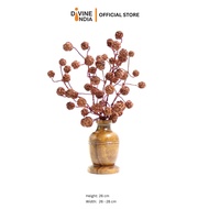 Ruduraksha Tree - Natural 5 face Rudraksha Tree